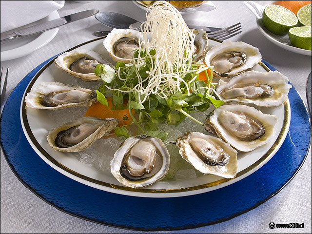 Ostras Frescas - Puerto Marisko