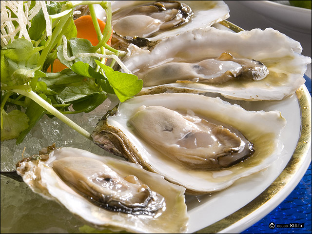 Detalle de Ostras Frescas 1 - Puerto Marisko