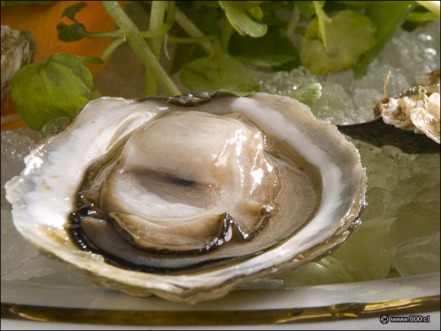 Detalle de Ostras Frescas 2 - Puerto Marisko