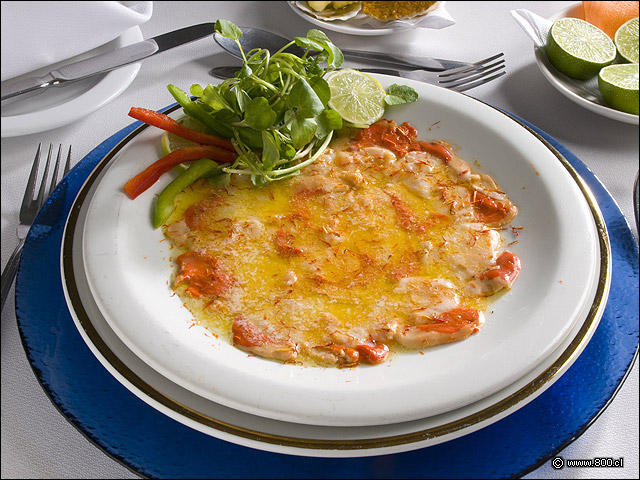 Carpaccio de Ostiones - Puerto Marisko