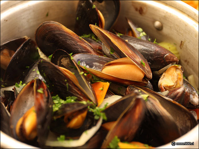 Detalle de Moul�s au Vin Blanc - Les Comperes