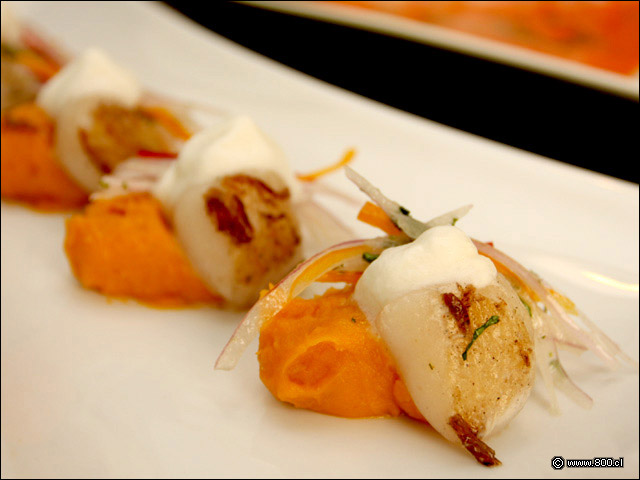 Detalle de Appetizzer Don Rodrigo 1 - AsiaLima