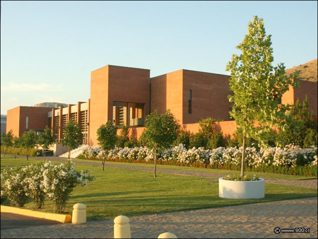 Telefnica