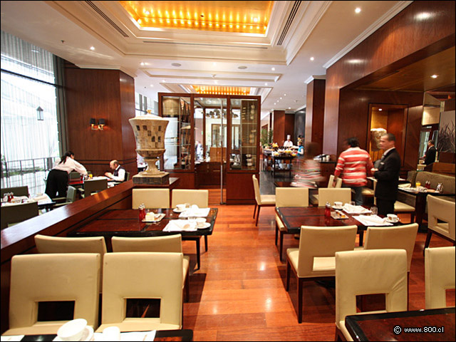 Comedor 1 Restaurante de Hotel Senso de Mandarin Oriental, Santiago Fotos del Lugar
