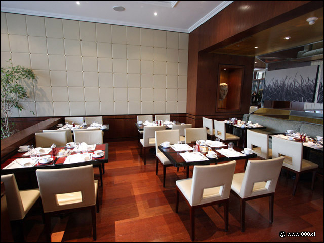 Comedor 2 Restaurante de Hotel Senso de Mandarin Oriental, Santiago Fotos del Lugar