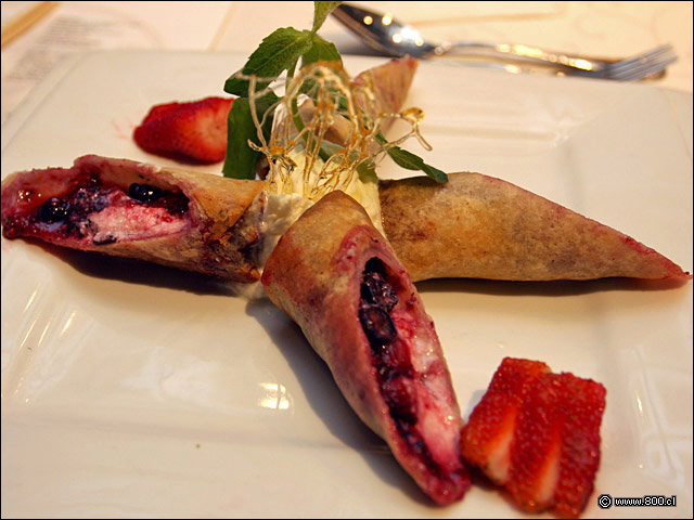 Raspberry Spring Roll - Palacio Danubio Azul (PDA)