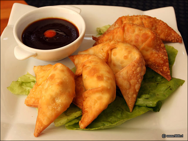 Wantn vietnamita acompaado de salsa hoisin