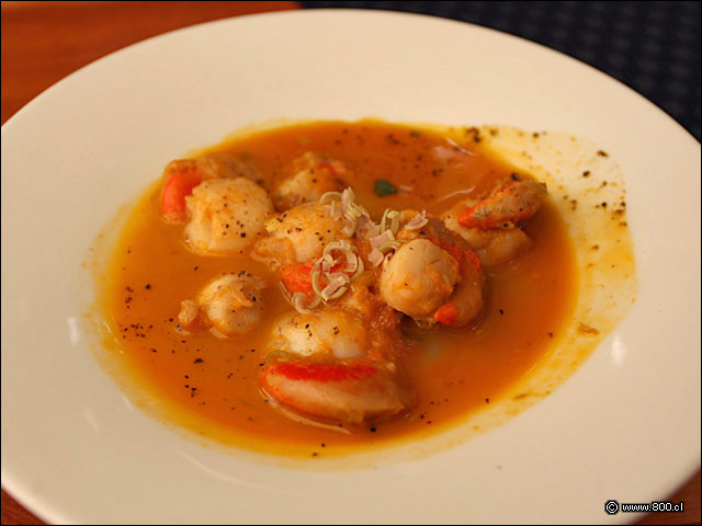Ostiones con Harina de Pescado