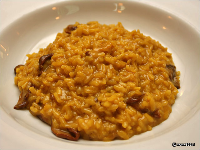 Risotto Funghi Porcini, cremoso risotto de hongos y azafrn