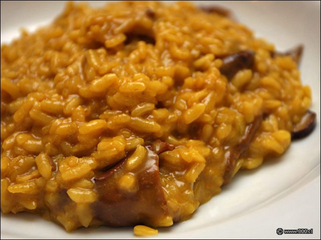 Detalle de Risotto Funghi Porcini, cremoso risotto de hongos y azafrn