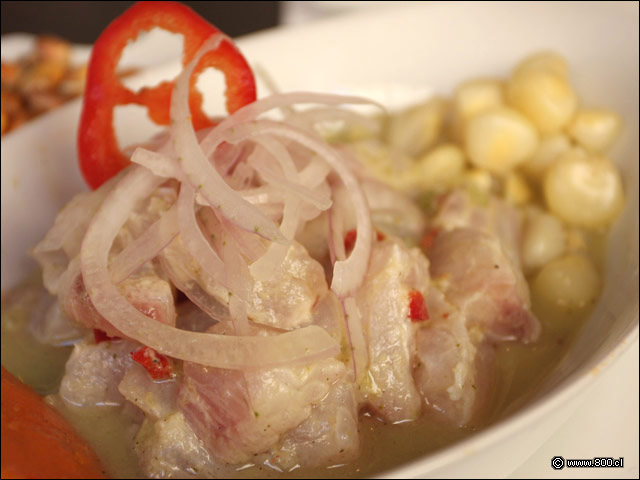 Detalle de Ceviche de Corvina, dados de pescado marinados en lim�n ali�ados con cebolla morada, cancha y choclo anisado 1 - Zabo (Lastarria)