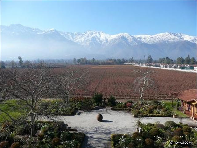 Cordillera de los Andes nevad