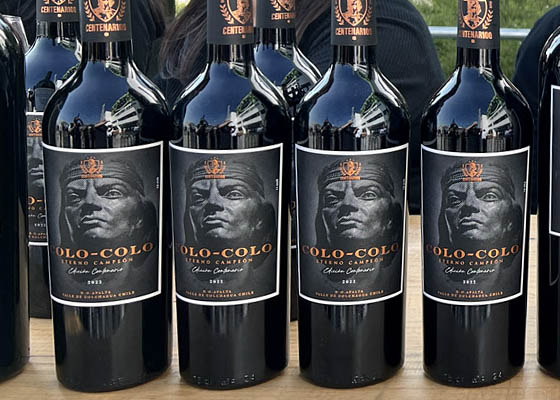 Lanzamiento oficial de los Vinos de Colo-Colo en conmemoracin de su Centenario