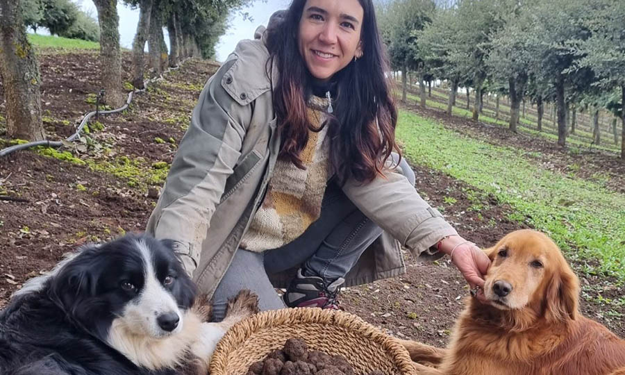 Trufas Araucana: Trufa negra chilena: autenticidad, aroma e innovacin desde el sur