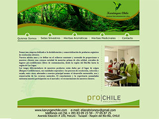 Karüngen Chile