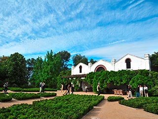 Tour y Degustaci�n Vinos Costeros (Vi�a Err�zuriz)