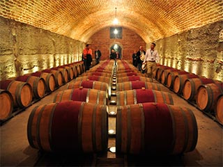 Tours & Tastings (Vi�a Err�zuriz)