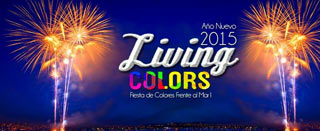 Ao Nuevo 2015 en Castillo Living Vip, Reaca