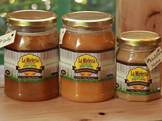La Mielería de Pirque