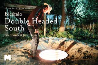 Double Headed  South: Bicfalo 