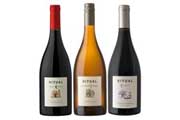 Vinos Ritual, destacados con hist�ricos puntaje en Descorchados 2016