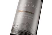 San Pedro lanza Castillo Molina, tributo 150 a�os 