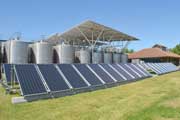 Bodega Torres recibe premio internacional por su plan de energ�as renovables