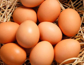 Agrícola 2 Espinas