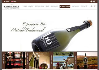 Casas del Bosque Wine Shop