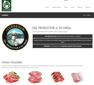 Cordesur (Ovinos Araucanía)