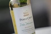 Vi�a P�rez Cruz presenta su primer Sauvignon Blanc