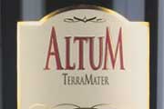 Terramater Altum Cabernet Sauvignon, destaca en concursos Internacionales