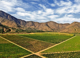 Trekking y Copas en Via TerraMater