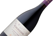 Vi�a Apaltagua estrena su nuevo vino Colecci�n Petit Verdot