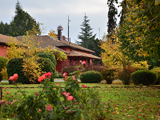 Sala de ventas Viña TerraNoble