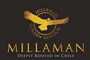 Cata en casa: Millaman Limited Reserve Malbec 2018