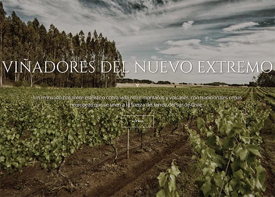 Asociación Vinos de la Araucanía