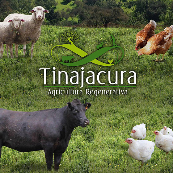 Agrícola Tinajacura
