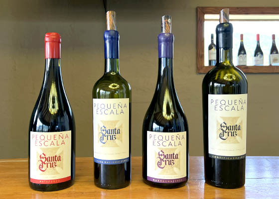 Vi�a Santa Cruz celebra su 20 a�os de vida con Peque�a Escala, su nueva l�nea de vinos de cepas no tradicionales
