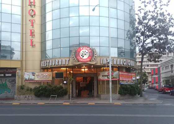 Panda Junior - 800.cl