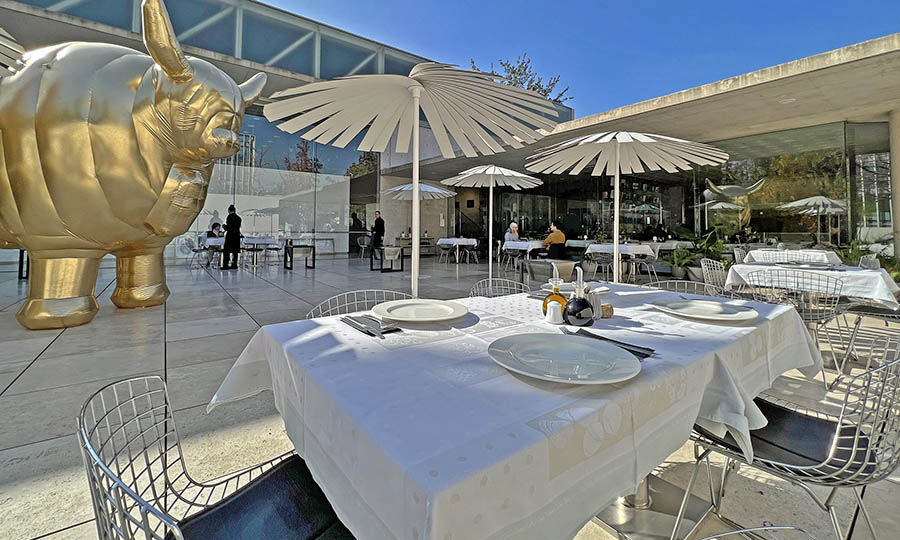 Cilantro Bistró 800.cl