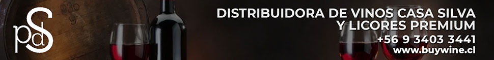 Para�so del Sur - Vi�a Casa Silva