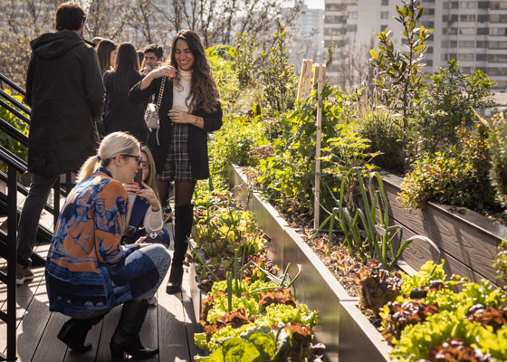 Hotel Mandarin Oriental, Santiago y Enel X presentan el primer huerto sustentable en altura.