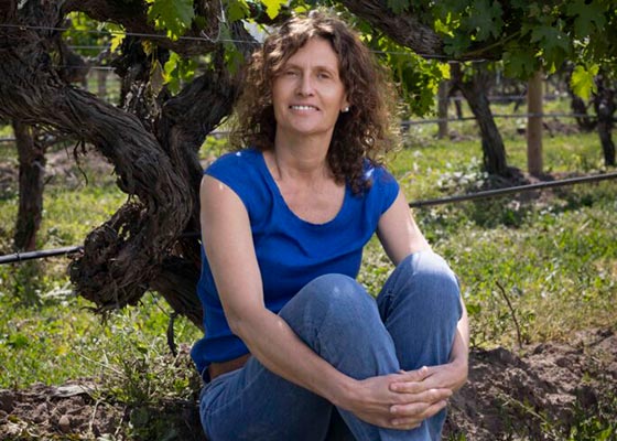 Siete Chilenos son elegidos como unos de los 100 mejores enlogos del mundo del vino