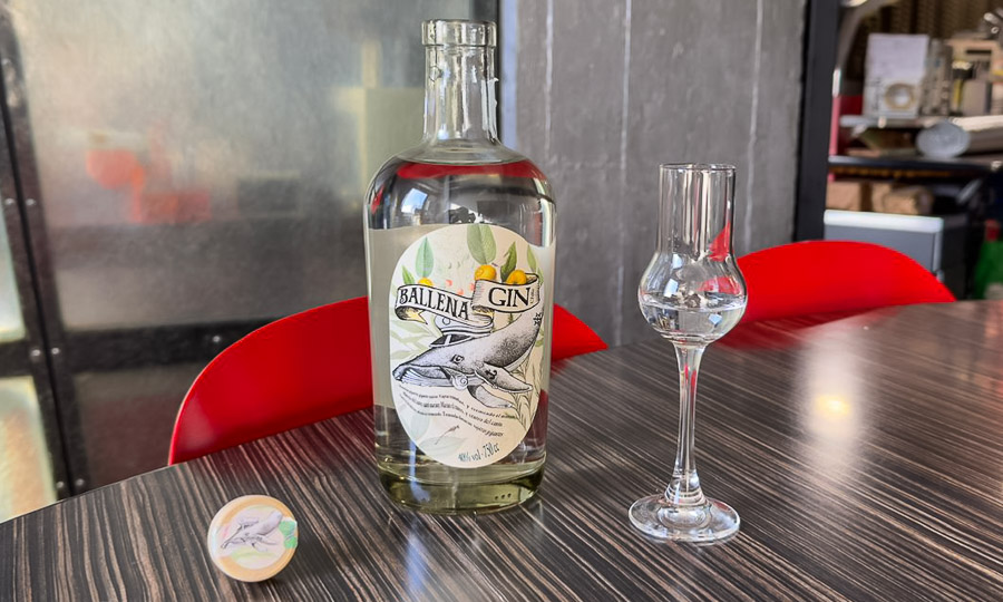 Ballena Gin: La pasin por la destilacin y la bsqueda de la perfeccin