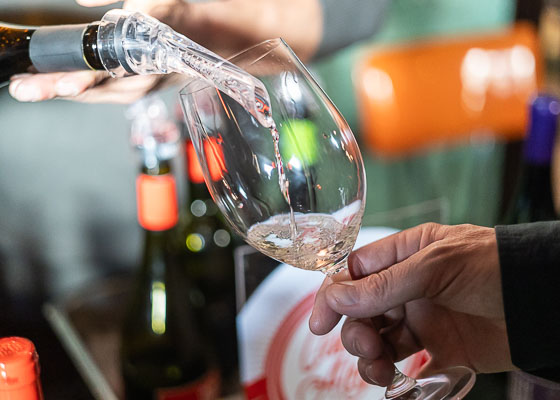Registro de la Feria de vinos -Tiny Tastings- Maule Vigno + Secano en Liguria Lastarria