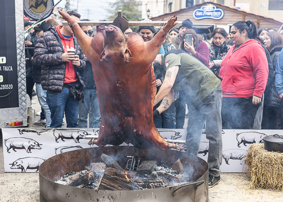 Registro de la Fiesta Costumbrista del Chancho 2024 en la Plaza de Armas de Talca