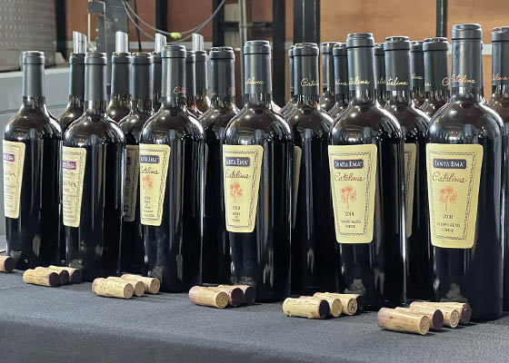 Via Santa Ema celebra 30 aos de Catalina, su vino cono y testigo clave de su evolucin como via familiar