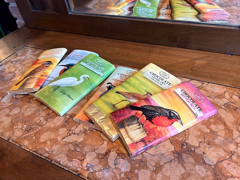 Los nuevos chocolates