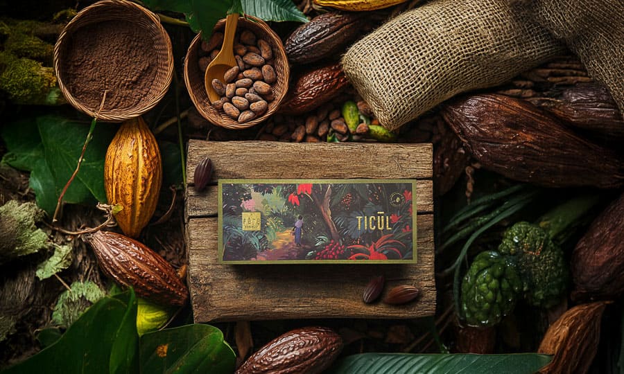 Ticul: Un viaje al origen del chocolate